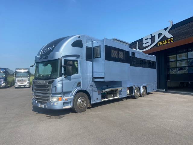 Camion per Cavalli Scania P 410 2017 Occasione