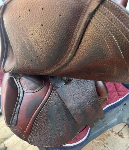 Sella da salto ostacoli CWD  17" - 2020