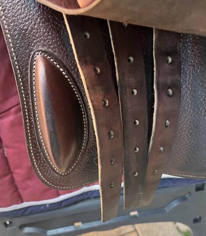 Sella da salto ostacoli CWD  17" - 2020