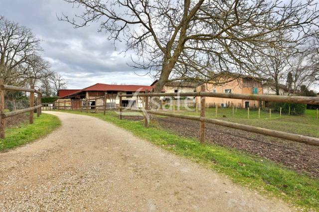 Proprietà equestre In vendita Ain