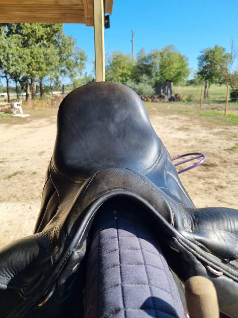 Sella da dressage Antarès  17.5" - 2018