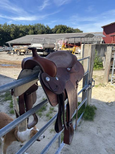 Sella western   16" - 2024