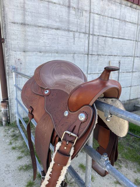 Sella western   16" - 2024