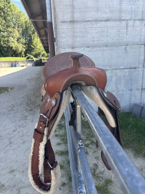 Sella western   16" - 2024