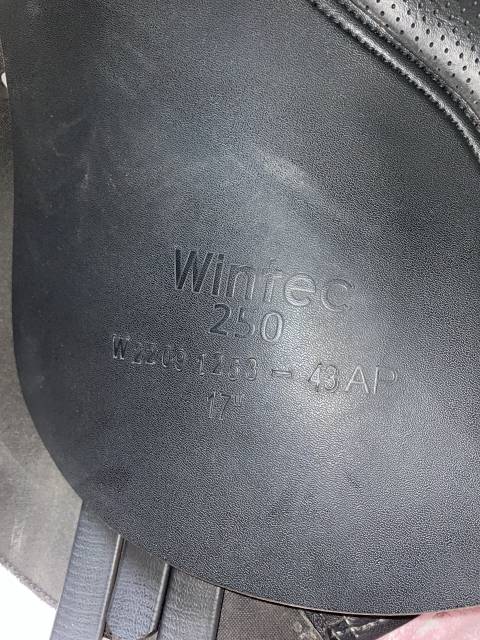 Sella mista Wintec  17" - 2023