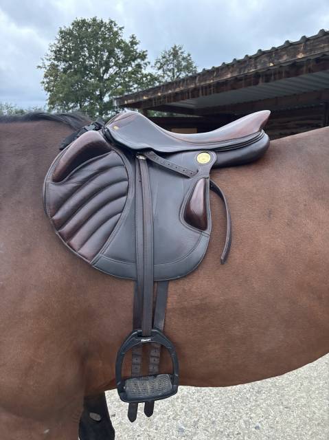 Sella mista Jean-Luc Maurel  17.5" - 2016