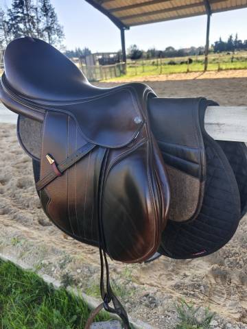 Sella da salto ostacoli Equipe  17.5" - 2019