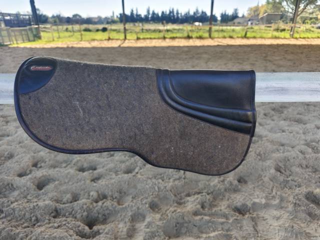 Sella da salto ostacoli Equipe  17.5" - 2019