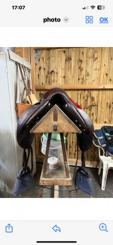 Sella da salto ostacoli Antarès  17.5" - 2023