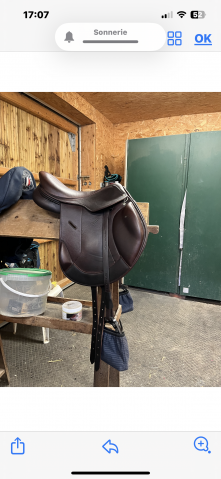 Sella da salto ostacoli Antarès  17.5" - 2023