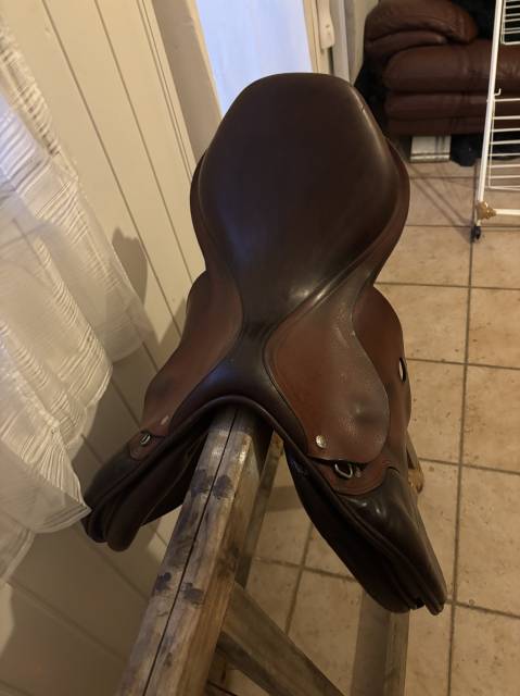 Sella da salto ostacoli Equipe  17.5" - 2011