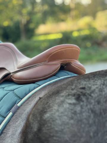 Sella mista Wintec  17.5" - 2015