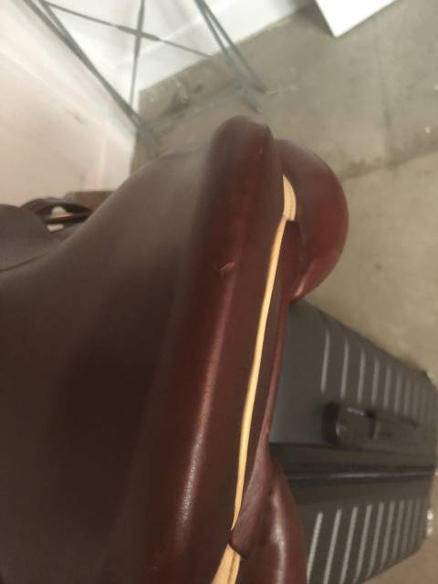 Sella da salto ostacoli CWD  17" - 2020