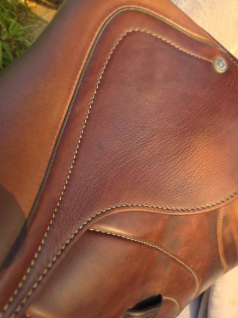 Sella da salto ostacoli Antar&egrave;s  15.5" - 2022