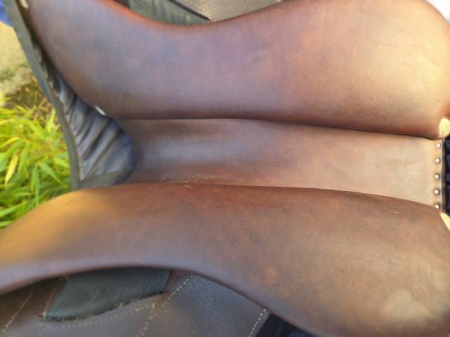 Sella da salto ostacoli Antar&egrave;s  15.5" - 2022