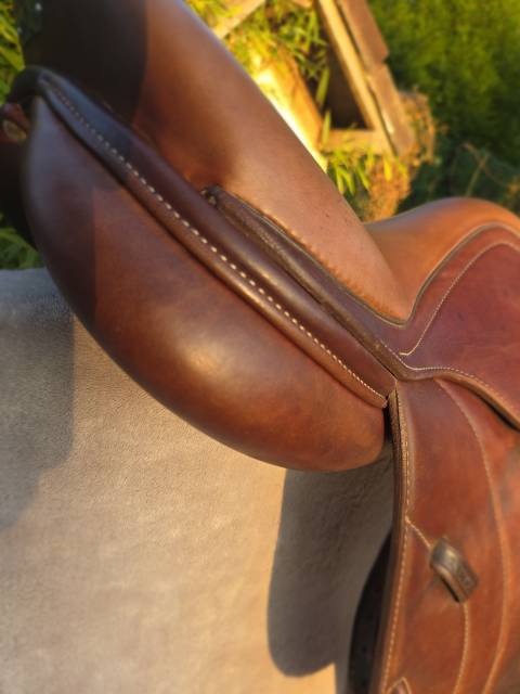 Sella da salto ostacoli Antar&egrave;s  15.5" - 2022