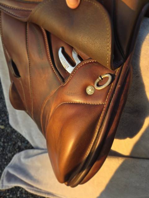 Sella da salto ostacoli Antar&egrave;s  15.5" - 2022