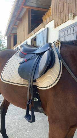 Sella mista Forestier  16.5" - 2023