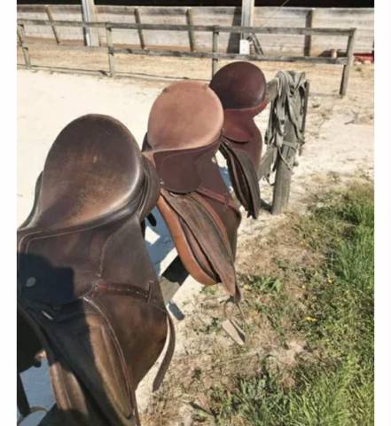 Sella mista Euroriding  17.5" - 2005