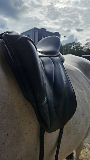 Sella da dressage Antarès  17" - 2012