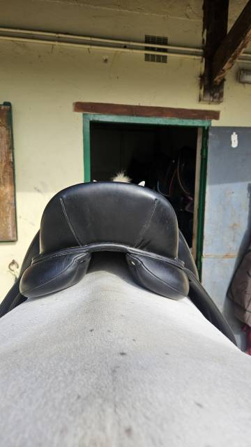 Sella da dressage Antarès  17" - 2012