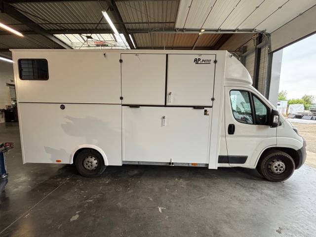 Van per Cavalli AP Petit Peugeot Boxer L4   2020 Nuovo
