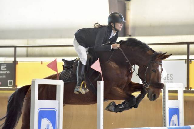 Cavalla KWPN 2015
