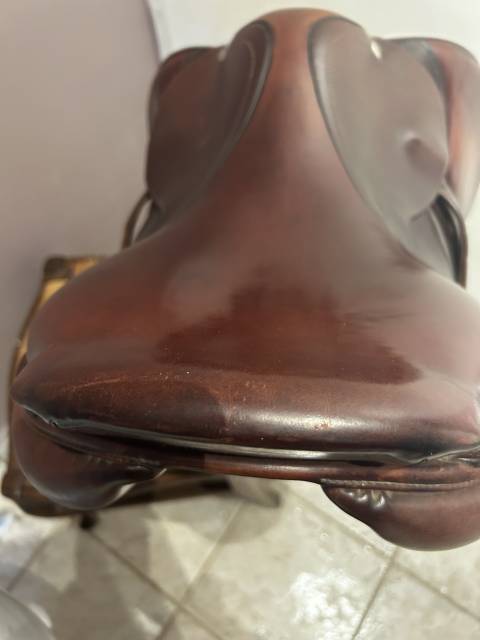 Sella mista CWD  17.5" - 2019