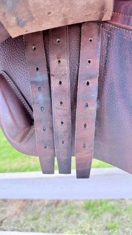 Sella da salto ostacoli  CWD  17.5" - 2021