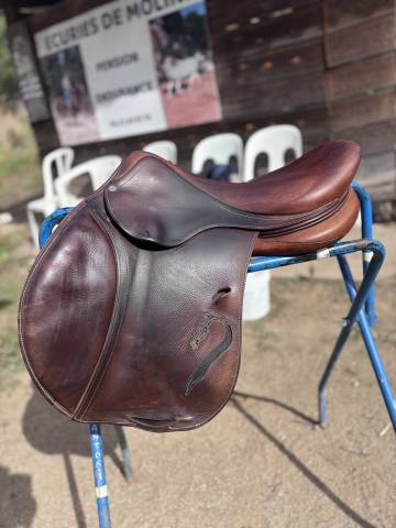 Sella da salto ostacoli Antar&egrave;s  17.5" - 2014