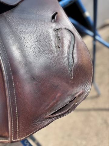 Sella da salto ostacoli Antar&egrave;s  17.5" - 2014