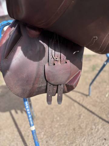 Sella da salto ostacoli Antar&egrave;s  17.5" - 2014