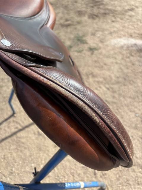 Sella da salto ostacoli Antar&egrave;s  17.5" - 2014