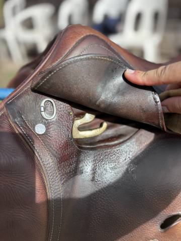 Sella da salto ostacoli Antar&egrave;s  17.5" - 2014