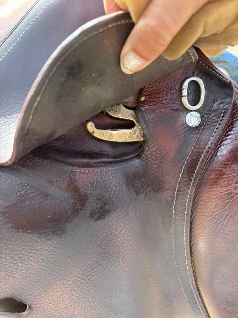 Sella da salto ostacoli Antar&egrave;s  17.5" - 2014