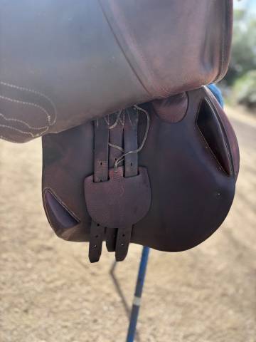 Sella da salto ostacoli Antar&egrave;s  17.5" - 2014