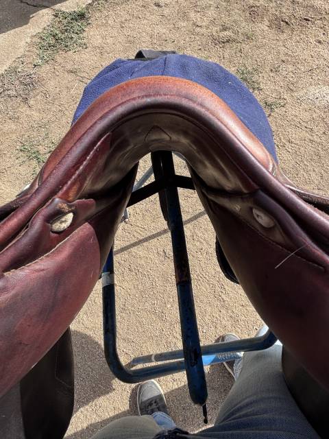 Sella da salto ostacoli Antar&egrave;s  17.5" - 2014