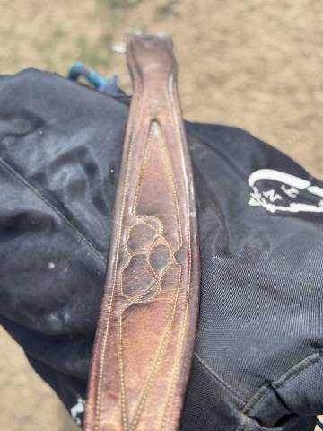 Sella da salto ostacoli Antar&egrave;s  17.5" - 2014