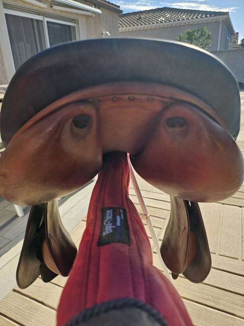 Sella da salto ostacoli Butet  17" - 2008