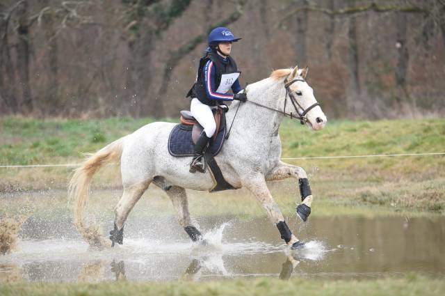 Sella da salto ostacoli Butet  17" - 2008