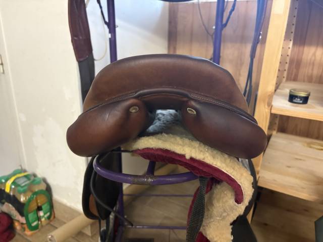 Sella da salto ostacoli Antar&egrave;s  17.5" - 2010