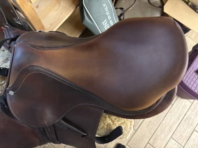 Sella da salto ostacoli Antar&egrave;s  17.5" - 2010