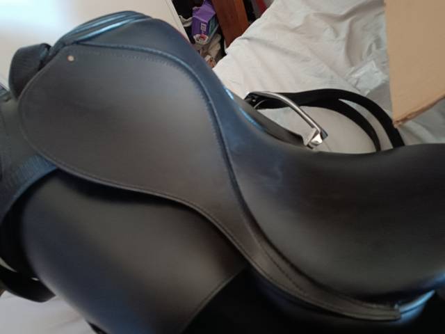 Selle primo Prezzo   17.5" - 2024