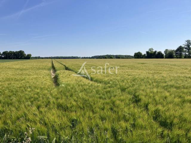 Proprietà rurale In vendita Eure-et-Loir