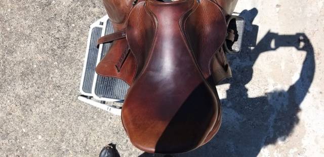 Sella da salto ostacoli Antarès  17" - 2011