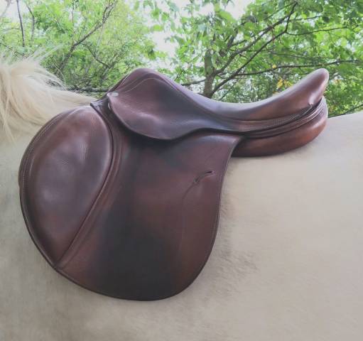 Sella da salto ostacoli Antar&egrave;s  17" - 2011