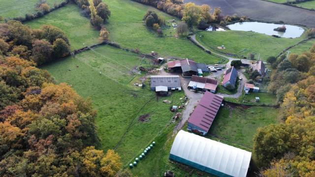 Azienda equestre In vendita Cher