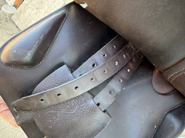 Sella Junior / Sella Pony Antarès  16.5" - 2011