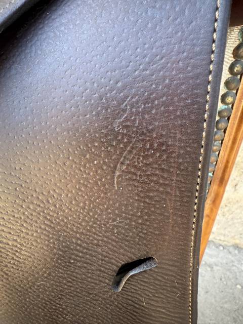 Sella Junior / Sella Pony Antarès  16.5" - 2011