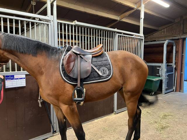 Sella da salto ostacoli Forestier Calgary  17.5" - 2005